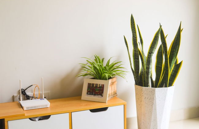 Spacious and Modern Service Apartment in Hochiminh - Foto 5