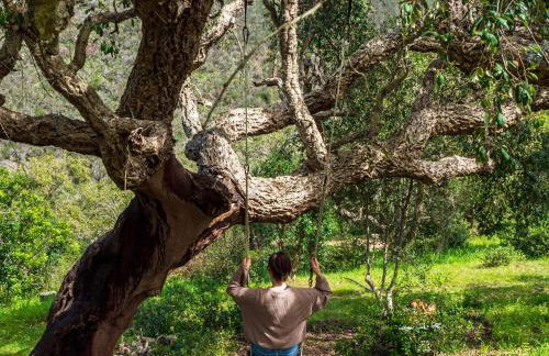 Salthouse Portugal - Exclusive Studio - Foto 11