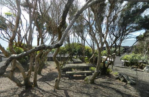 Adega Ninho da Cagarra - Photo 36