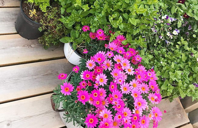 6 Person Holiday Home in Asenfjord-by Traum - Photo 30