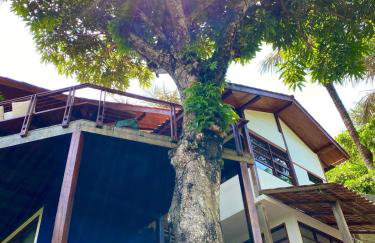 Casa Anavilhanas - Foto 51