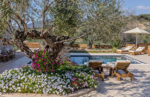 Lakkos Villas - Foto 72