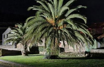 Puente Romano - Foto 23