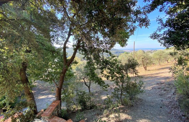 Home Relax - Foto 31