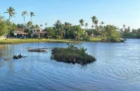 Canto da Jandaia Imbassaí - Foto 21