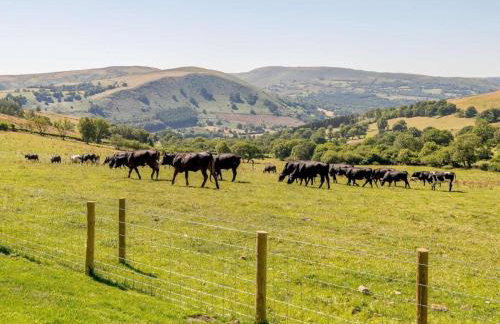 2 Bed in Llandrindod Wells oc-89064 - Foto 20