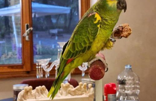 Cozy Chalet in Castell'Arquato 90 m² with Private Pool - Foto 79