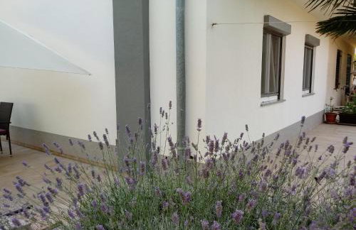 Apartment Violeta - Foto 7