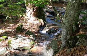 Guest house Elatochori - Foto 43