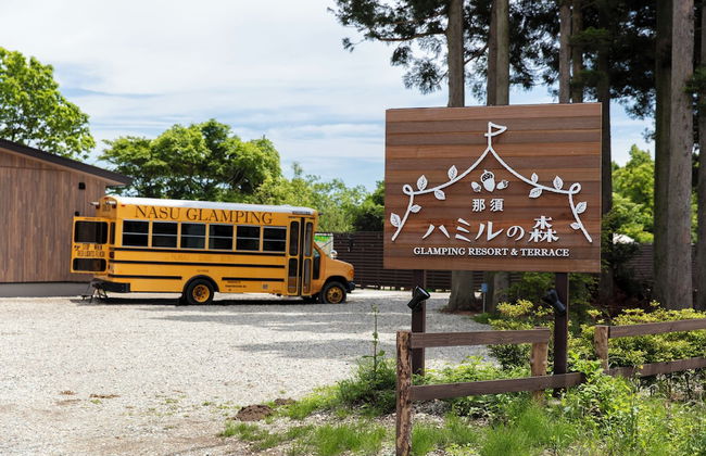 Hamiru's Forest - Foto 13