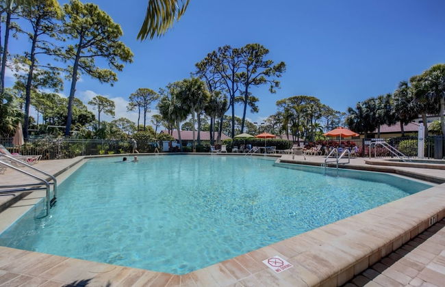 White Pine Court - Foto 19