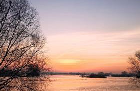 Zur Nachtigall - Foto 21