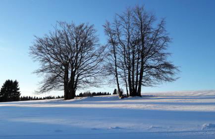 Ferienwohnung Hauptmann - Foto 22