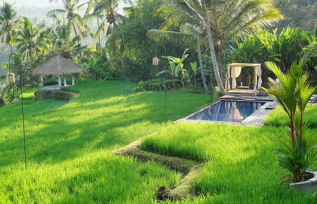 Bali De Pardis Cottage - Foto 37