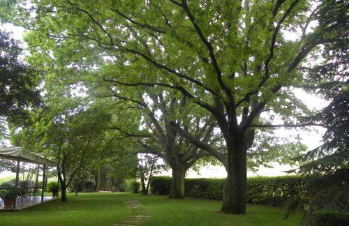 Ghiaccio Bosco - Foto 79