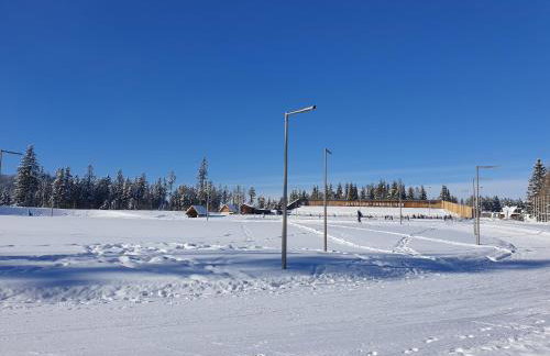 Apartament TatraVika - Photo 62