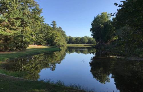 Peaceful Peachtree Villa - Foto 22