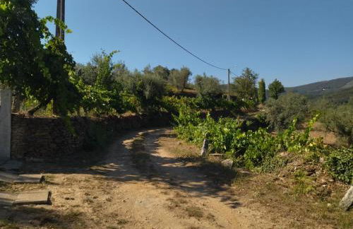 Casa do Vale de Gondra - Foto 23