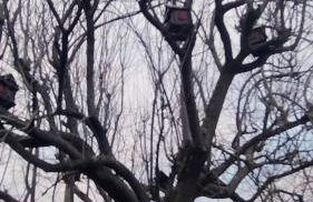 Baita La Stradella - Foto 62