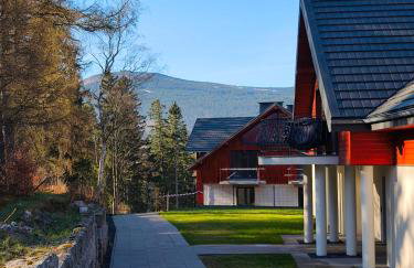 Apartament Górski Widok - Foto 18