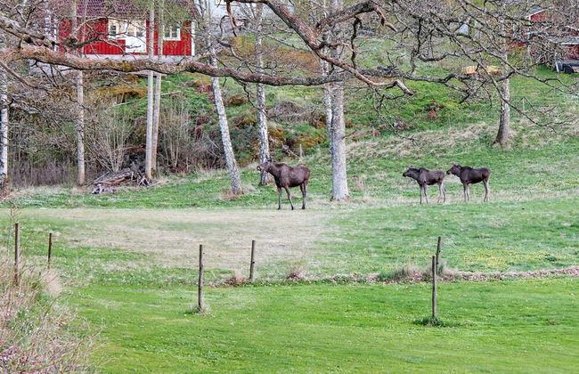 Holiday Home in Askeröarna - Foto 19