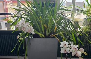 Villa Valerius - Photo 26