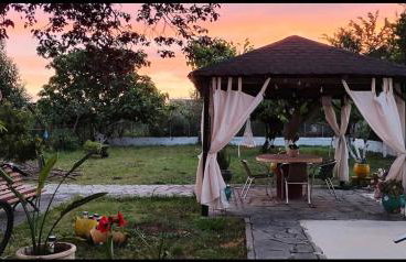 Eleocharis near Amfilochia & Amvrakikos Gulf - Foto 42