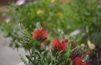 Lavender cozy & lovely 17 - Foto 26