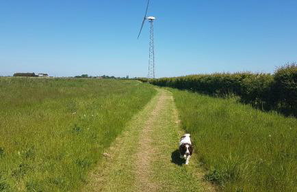 Ash Cottage - Foto 11