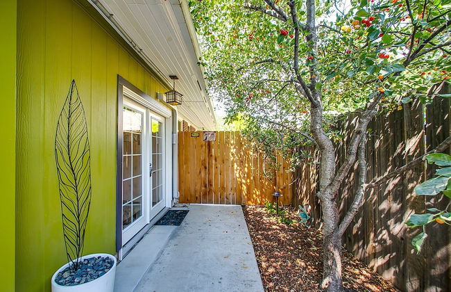 The Green Spot Studio - Foto 1