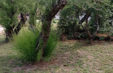 LA MAISON DE PAPOU La Vigne A NANS LES PINS 83860 - Photo 2