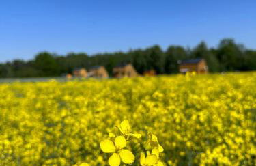 Detached Holiday Home in Horyniec-zdroj With Sauna - Foto 11