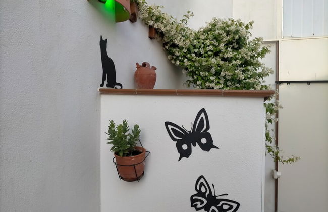 Azafrán Consuegra Casa Rural - Foto 24