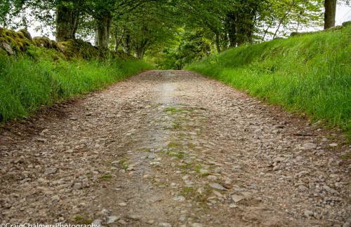 Tin Cabin in peaceful Angus glen - Foto 27