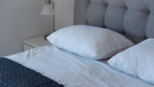 Opatija Bregi - Foto 4