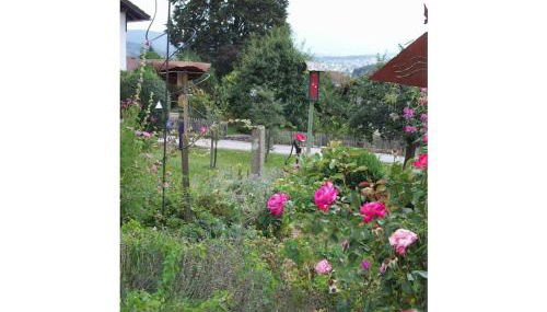 Hollerbusch House - Foto 4, Other