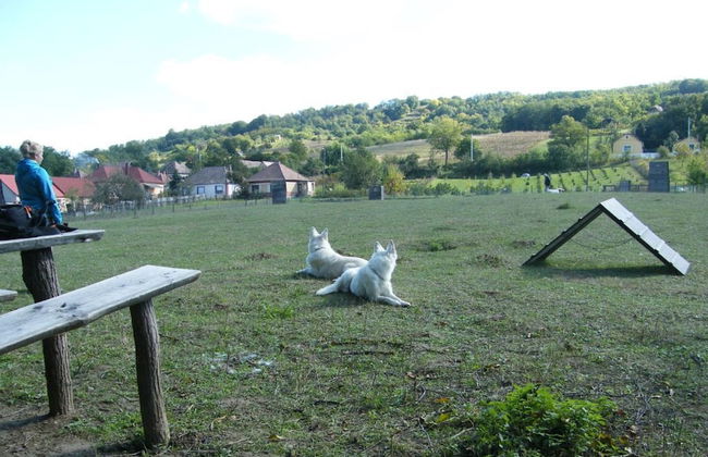Müllers Ferienhaus Leitenhof - Photo 12