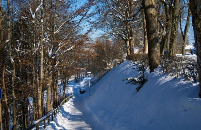 Ferienwohnung im Malerischen Kniebis - Foto 23