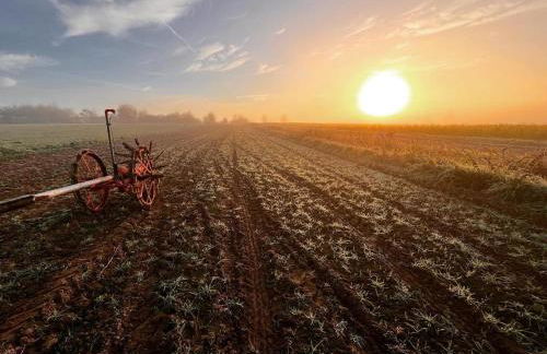 Ferienwohnung Espenau - Foto 12