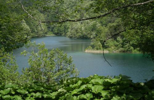 House Veljko - Foto 31