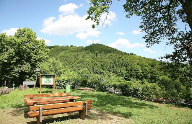 Holiday Home in Kyllburg Eifel Near the Forest - Photo 38