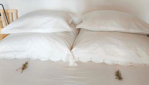 O Refúgio do Pim - Foto 4