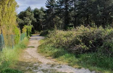 Gite Baie de Somme - Foto 24