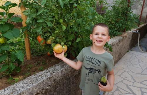 Kuća ILIRIA - Foto 31