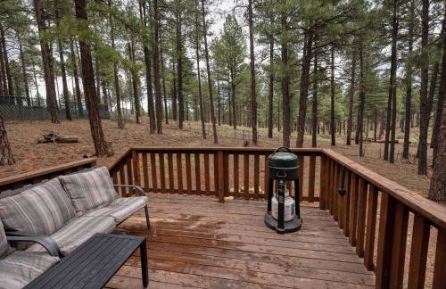 Close to Williams, Flagstaff, Grand Canyon and Sedona - Photo 19