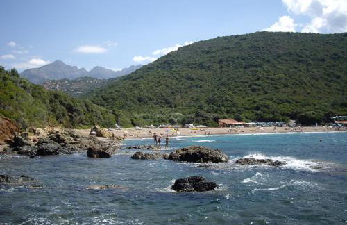 Les Asphodèles - Foto 1