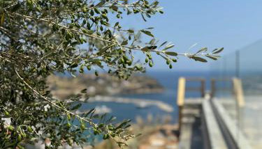 PETRA Luxury Villas - Foto 3, Garden