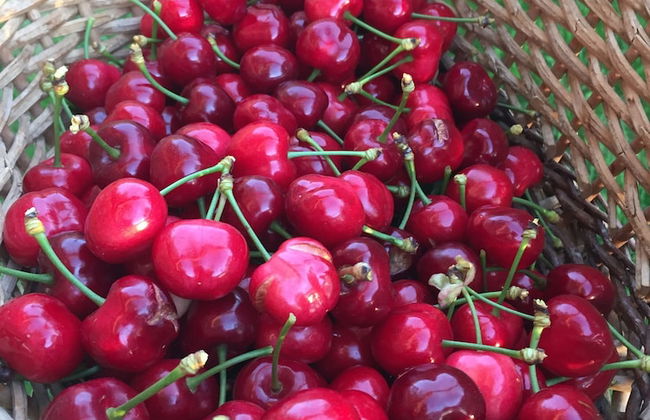 Domaine en Terre Happy - Foto 50