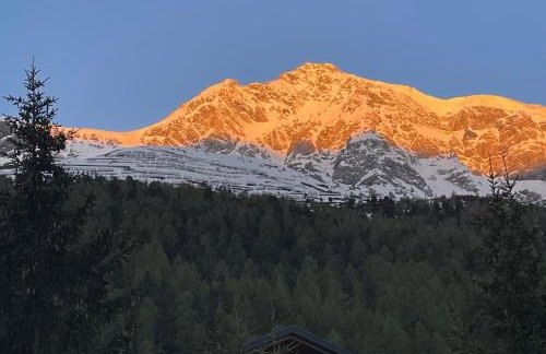 Residence Flora - Photo 44