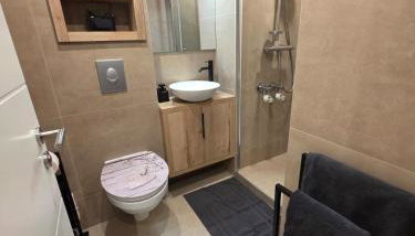 TeMax Lux Hahnenklee - Foto 3, Shower